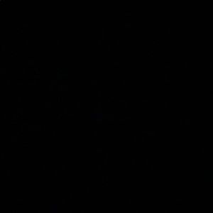 Meet your Posher, Cara